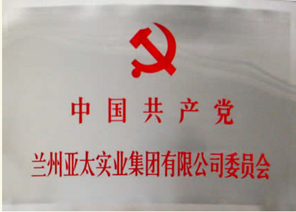 ����esballʵҵ�������޹�˾���赳ί��ר��