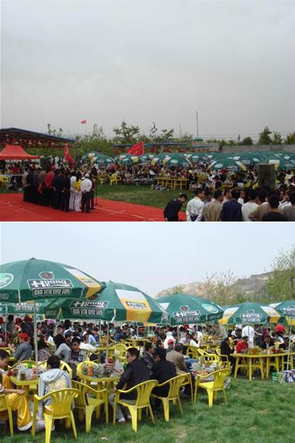 ������ұ����Ц����������һƬ��ϲ�ĺ���esball���Ŵ����˶�